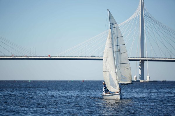 Comment organiser un voyage d'observation des oiseaux exotiques ?